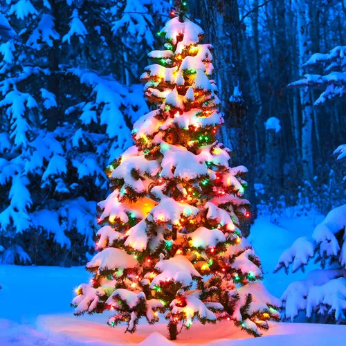 Miniatura 5 de Toodour Tira de luces de Navidad para exteriores, 213 pies, 600 luces LED, temporizador, impermeable, 8 modos de luz de Navidad para exteriores, luz