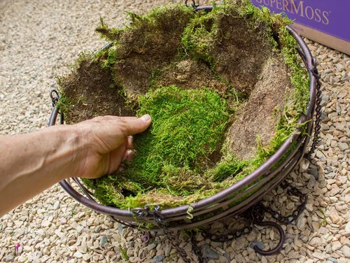 Miniatura 2 de Super Moss 21513 - Musgo conservado de hojas, verde fresco, 16 onzas