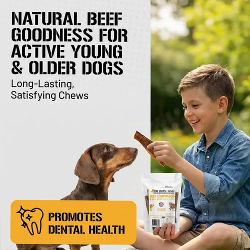 Miniatura 3 de Dog Chits Masticables de esófago de ternera para perros y cachorros – Todo natural de un solo ingrediente – Alto en proteínas, carne seca baja