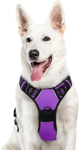 Miniatura 71 de Eagloo Arnés para perro pequeño, sin tirones, chaleco de servicio con tiras reflectantes y asa de control, ajustable y cómodo para caminar, arnés