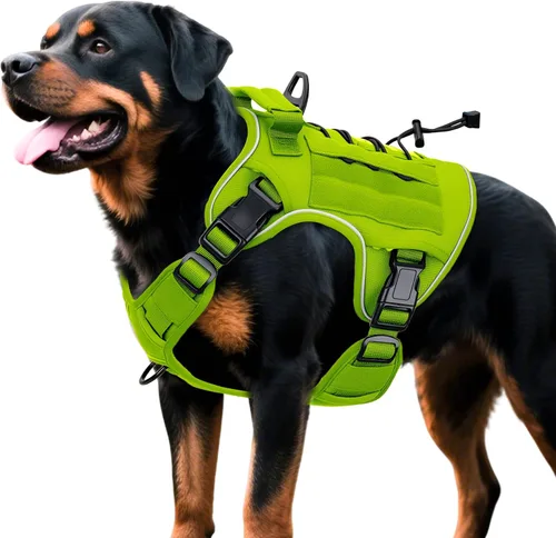 Miniatura 21 de Arnés táctico para perros grandes, chaleco reflectante ajustable sin tirones con sistema Molle, control de grado militar K9 para entrenamiento