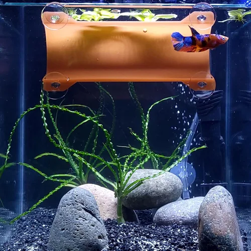 Miniatura 10 de Marca Betta Tunnel (negro opaco)