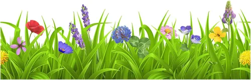Miniatura 6 de Calcomanías de pared con borde de flores coloridas de hierba verde primaveral, despegar y pegar, para aniversario, día de la madre, cocina, sala