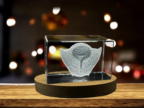 Miniatura 15 de Regalo para médicos 3D grabado en cristal recuerdo/regalo/decoración/(pequeño (3 x 2 x 2 pulgadas), arterias)
