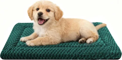 Miniatura 21 de Alfombrilla para Cama de Perro – Almohadilla de Perrera Suave y Cómoda para Jaula – Cama y Almohadilla Duradera para Perros y Gatos – Ideal para Gris