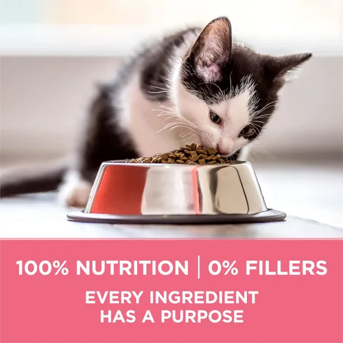 Miniatura 8 de Purina ONE Alimento seco natural para gatitos con alto contenido en proteínas, fórmula para gatitos +Plus saludable - Bolsa de 7 libras
