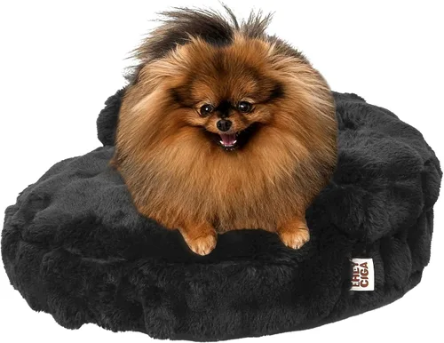 Miniatura 27 de EHEYCIGA Sofá cama suave para gatos de interior, cama extra pequeña esponjosa para perros con funda extraíble lavable, sofá para mascotas, Camello