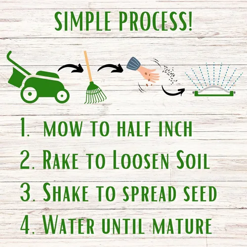 Miniatura 8 de Flawn Seed Kits Semilla de trébol holandés blanco, 1 libra, revestimiento orgánico, césped natural, cubierta del suelo, parcela de alimentos