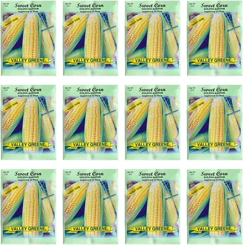 Miniatura 11 de Juego de 12 paquetes de semillas de verduras de roqueta de rúcula, crea un jardín de lujo, todas las semillas son reliquias, 100% sin OMG