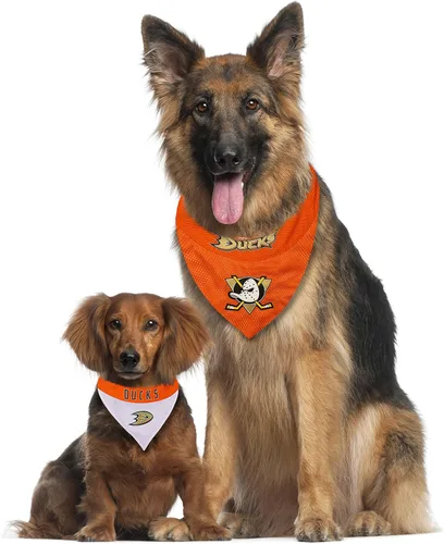 Miniatura 5 de Bandana de Pets First