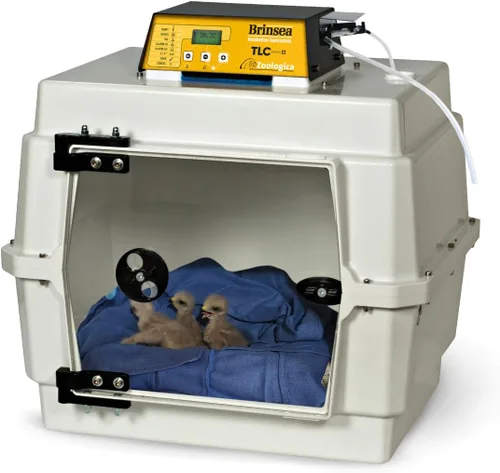 Miniatura 13 de Brinsea TLC-50 Zoologica II - Incubadora grande de cría de aves y recuperación de mascotas con control de humedad para animales enfermos, ideal