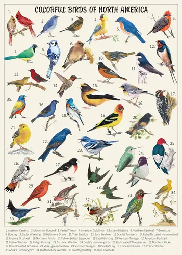 Miniatura 12 de Rompecabezas de Pájaros para Adultos de 1000 Piezas, Lindo Rompecabezas de Edredón de Jardín de Flores de Pájaros, Divertido Rompecabezas Floral