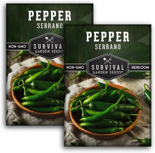 Semillas de pimiento serrano mexicano para plantar | Semillas de chile picante fresco y pimiento verde – Variedad tradicional sin OMG para salsa,