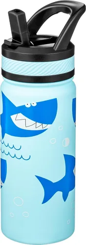 Miniatura 28 de Fanhaw Botella de Agua Aislada para Niños de 18 Oz con Tapa de Pajita – Acero Inoxidable de Doble Pared al Vacío, A Prueba de Fugas, Botellas