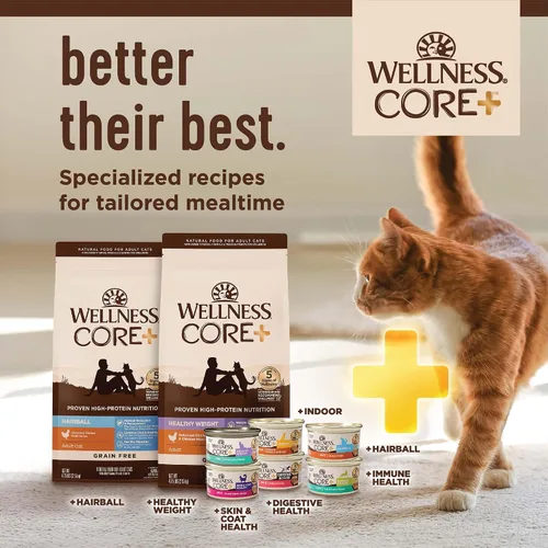 Miniatura 8 de Wellness CORE+ - Alimento seco para gatos adultos para interiores y exteriores, granos integrales, natural, salud digestiva con pollo y arroz