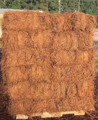 Miniatura 3 de Long Needle Pine Straw Mulch – Cobertura de 3200 pies cuadrados, 1 juego – Paja de pino cosechada en Estados Unidos de primera calidad