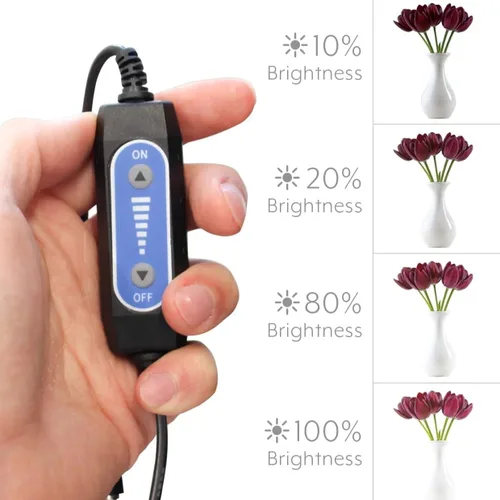 Miniatura 6 de Bower Caja de luz portátil de estudio de 24 pulgadas para teléfonos inteligentes, réflex digitales y cámaras compactas, diseño plegable