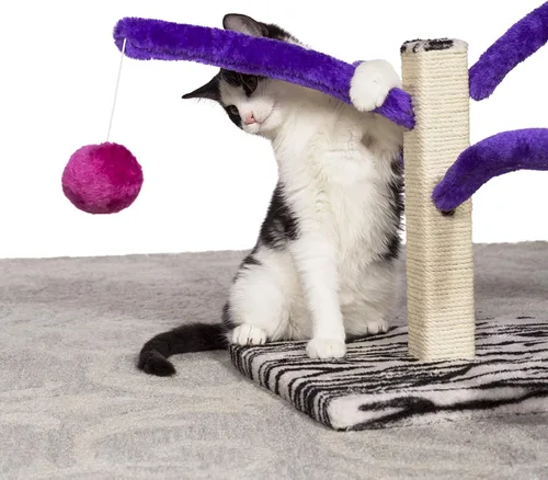 Miniatura 3 de Prevue Pet Products Muebles rascadores Kitty Power Bounce 'n Spring