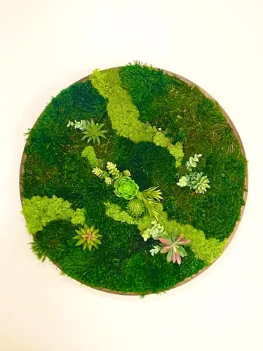 Miniatura 7 de Luxury Round Framed with Light Green Moss Art Luxury Vertical Garden Wall Designed Home Decor Office Commercial