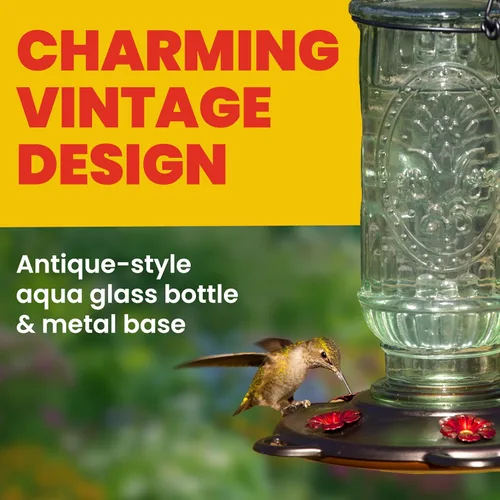 Miniatura 4 de More Birds - Comedero vintage para colibríes, botella de vidrio antiguo, 5 puertos de alimentación, capacidad de néctar de 20 onzas