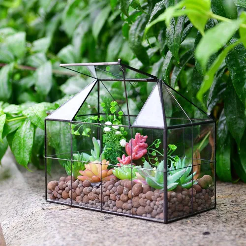 Miniatura 2 de Maceta grande de vidrio para casa de terrario – Invernadero de vidrio para plantas suculentas con tapa 9.8 x 7.9 x 5.9 pulgadas NA