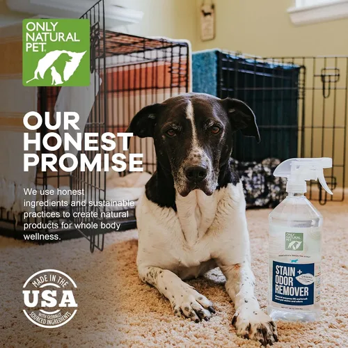 Miniatura 4 de Only Natural Pet - Removedor de manchas y olores con base en enzimas, fórmula derivada de plantas para perros – Funciona en madera dura, alfombra