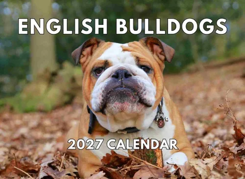 Miniatura 59 de Calendario de pared mensual 2025 Great Dane de 12 meses, fabricado en Estados Unidos