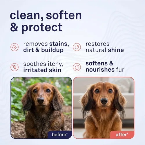 Miniatura 2 de Petpost Champú de argán para perros. Champú para perros con aceite de argán y aloe. Hidrata la piel seca, suaviza el pelaje, restaura el brillo. 8