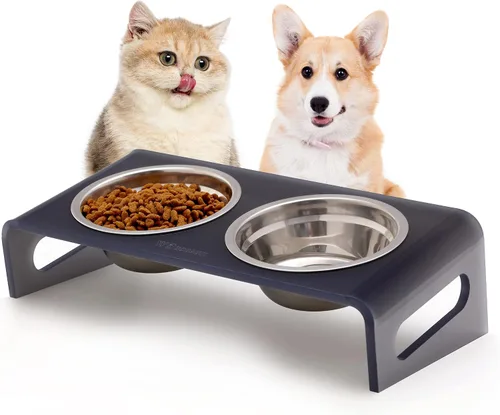 Miniatura 8 de Cuencos elevados inclinados para alimentos y agua para gatos o perros pequeños, soporte para 3 platos de acrílico transparente para cachorros