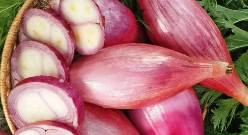 Miniatura 4 de Semillas Verduras herederas de cebolla de chalota roja para plantar sin OMG