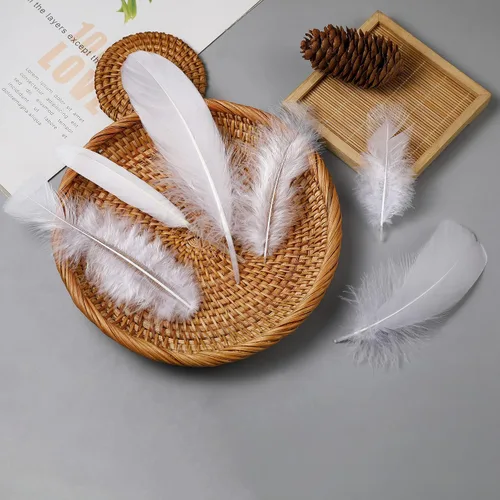 Miniatura 5 de Larryhot White Craft Feathers - 240 plumas naturales mixtas de 6 estilos para bodas, fiestas en casa, suministros de atrapasueños y manualidades