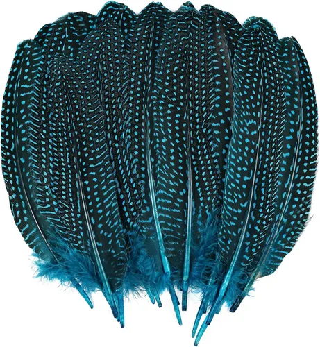 Daieeparty 12 plumas de faisán a granel, plumas manchadas naturales para manualidades, decoración del hogar (plumas de ala de ave de Guinea azul