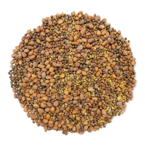 Miniatura 3 de Mezcla orgánica picante de semillas germinantes, 3 libras, brócoli sin OMG, rábano, alfalfa, crudo, tasa de germinación rica, no irradiada, pura