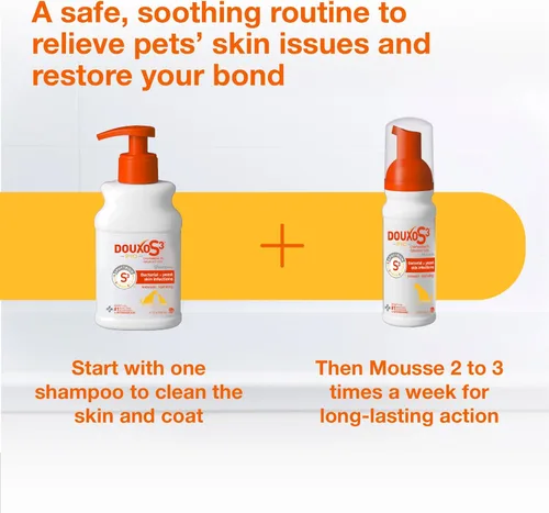 Miniatura 10 de Douxo S3 PYO Champú de clorhexidina para perros, champú medicado antibacteriano y antiséptico, tratamiento de infección por levaduras para perros