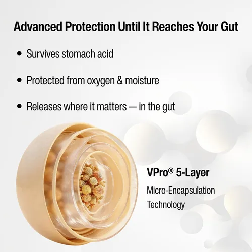 Miniatura 4 de Akkermansia Suplemento probiótico – Fórmula multicepa con prebióticos, cápsulas de liberación retardada VPro® de 5 capas, barrera intestinal
