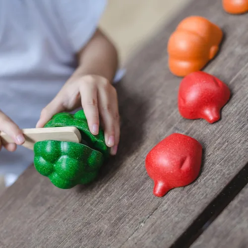 Miniatura 9 de PlanToys - Juguete educativo ecológico, multicolor (3431)