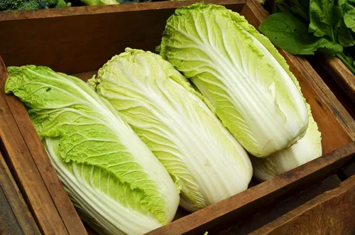 Miniatura 3 de Semillas Napa Col China No GMO Heirloom