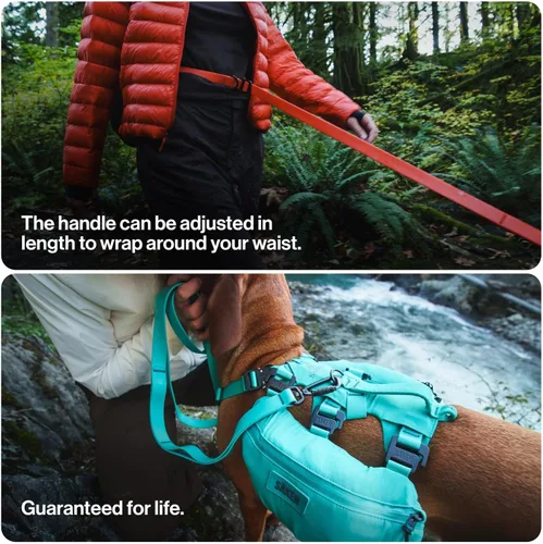 Miniatura 6 de Säker Kelp™ Correa Impermeable para Perros – Resistente, A Prueba de Olores, Correa para Perros Ajustable de 4 a 6 pies de Largo con Mosquetón