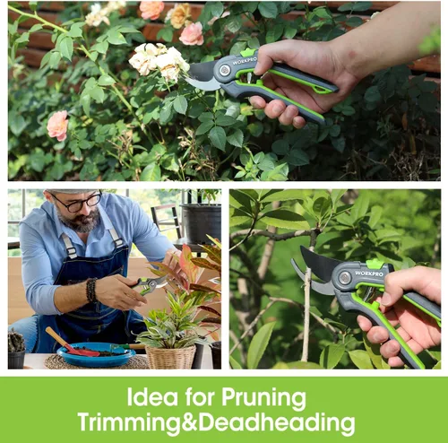 Miniatura 8 de WORKPRO Tijeras de podar de derivación, podadora manual de jardinería de acero inoxidable de 8 pulgadas, tijeras profesionales para recortar jardín