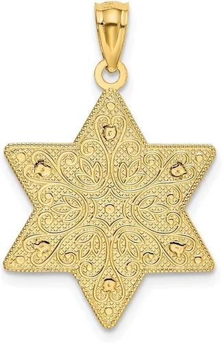 Miniatura 3 de Colgante de estrella de David de filigrana reversible pulido oro de dos tonos blanco y amarillo sólido de 14 quilates, Titanio