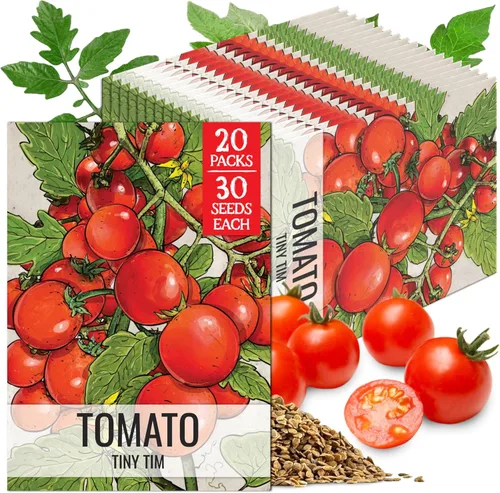 Miniatura 12 de Seed Needs Semillas de tomate cereza negra para plantar, reliquia sin OMG y sin tratar, variedad indeterminada para plantar un huerto al aire libre