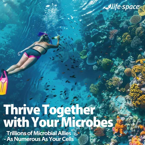 Miniatura 8 de Life-Space V-Care + 3X Immune Boost, probiótico de microflora para mujer + probiótico de espectro amplio de triple fuerza, apoya la microflora