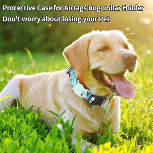 Miniatura 2 de Collar de perro para perros pequeños, medianos y grandes, collar acolchado de neopreno suave para mascotas, collar de poliéster para cachorros