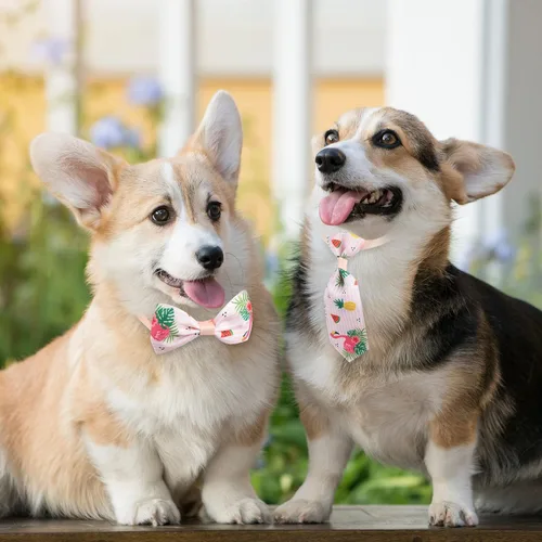 Miniatura 4 de Reginary Juego de Collar de Corbatín para Perro de 100 Piezas Incluye 40 Corbatas para Perros, y 30 Corbatines para Cachorros, 30 Flores de Collar