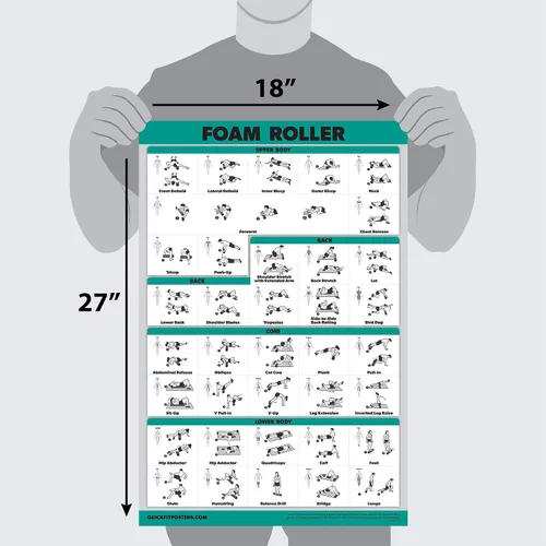 Miniatura 2 de Palace Learning Foam Roller Exercise Poster - Stretching and Workout Routine for Foam Roller (Laminated, 18" x 24")