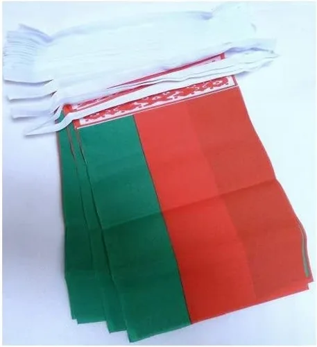 Miniatura 4 de AZ FLAG Señal marítima internacional 42.7 ft BUNTING Flag 40 banderas 9'' x 6'' - Banderas de cuerda del alfabeto náutico 5.9 x 8.3 in