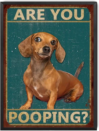 Miniatura 16 de LIUAXICIA Letreros divertidos de hojalata con texto en inglés "Dog are You Pooping", decoración de pared para baño, baño, decoración para amantes