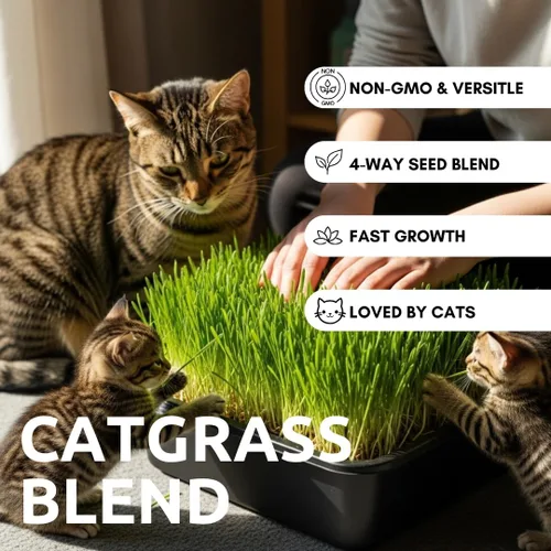 Miniatura 2 de Semillas de hierba de gato para cultivar Mezcla de 4 vías, centeno, trigo, avena y cebada Fabricado en Estados Unidos, se envía desde Iowa.