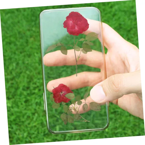 Miniatura 6 de EXCEART 1 juego de flores secas, hojas prensadas secas, tallo de pino prensado real para decorar hojas secas para hacer velas, decoración
