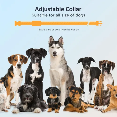 Miniatura 7 de PATPET Collar de entrenamiento para perros con control remoto, IPX7 impermeable, collar de choque para perros, 3 modos de entrenamiento, vibración